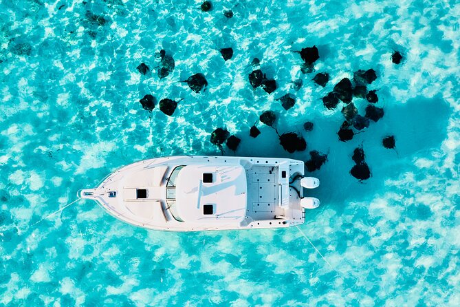 Cayman Private Luxury Charters - Stingray City, Snorkel, & More - Starfish Point for shallow, calm water