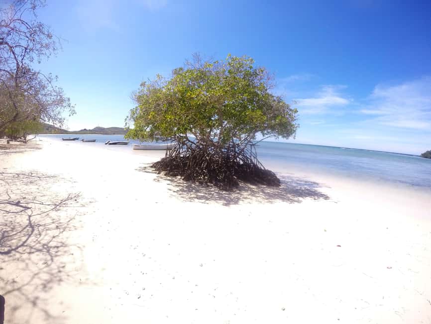 Cayo Arena: Paradise Island and Mangroves Tour - The speedboat crossing to Cayo Arena