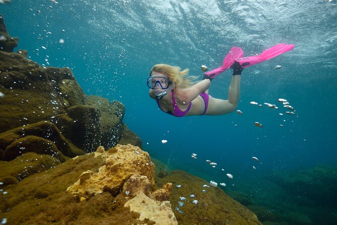 Champagne Reef Snorkeling Tour at volcanic hot Bubbles Dominica - The 30 to 45 Minute Reef Swim