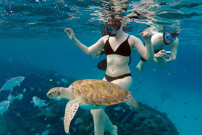 Che’s snorkel cruise! turtles & shipwrecks (semi private) - A small boat experience, not a party cruise