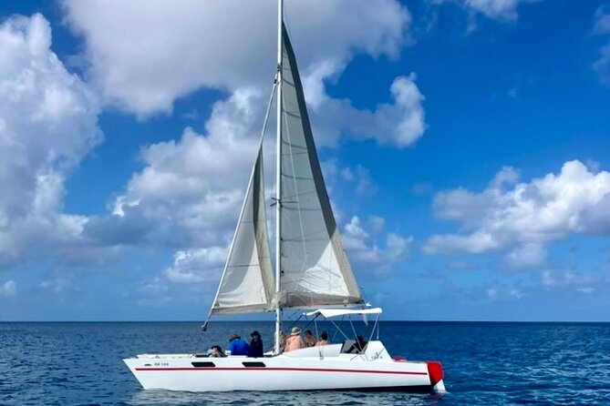 Che’s snorkel cruise! turtles & shipwrecks (semi private) - Is $75 good value?