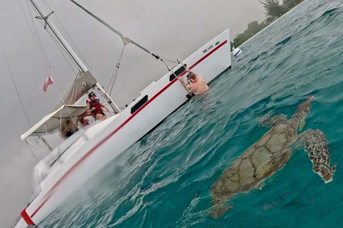 Che’s snorkel cruise! turtles & shipwrecks (semi private) - Who will enjoy this most?