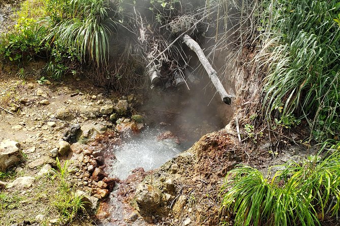 City Tour with Botanical Gardens, Trafalgar Falls & Morne Bruce - Wotten Waven and Screw’s Sulphur Spa