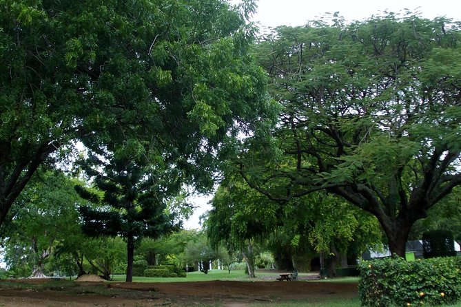 City Tour with Botanical Gardens, Trafalgar Falls & Morne Bruce - Roseau’s old streets and colonial past