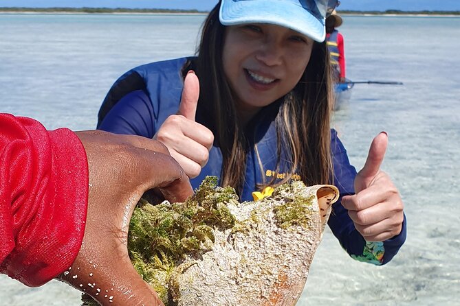Clear Bottom Kayaks Mangrove Tour - Wildlife sightings are the reason to book