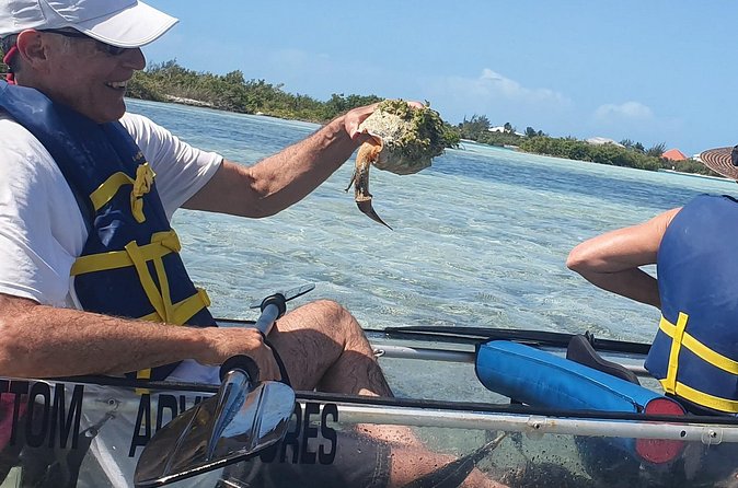 Clear Bottom Kayaks Mangrove Tour - Practical details before you go
