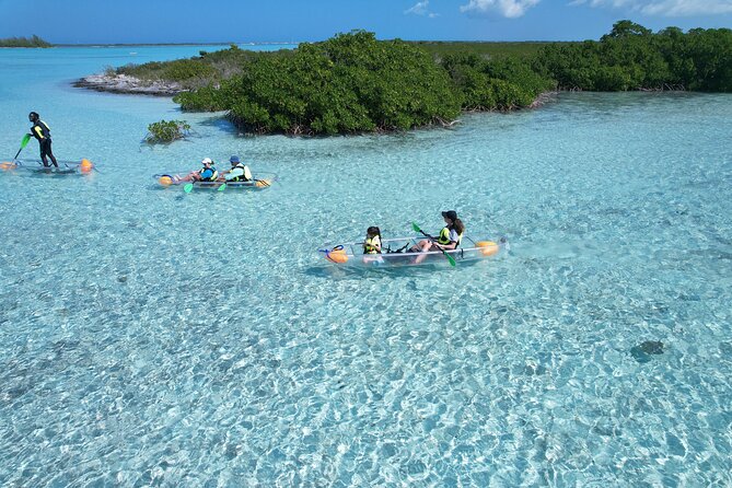Clear Kayak Eco Tour Explore Mangroves and Meet the Turtles - How hard is the paddling?