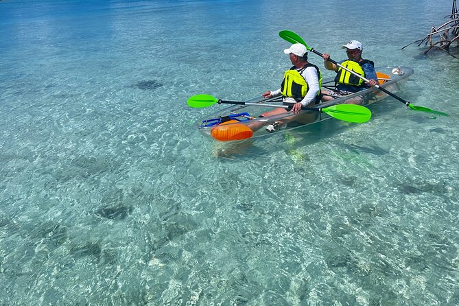 Clear Kayak Eco Tour Explore Mangroves and Meet the Turtles - Meeting point, timing, and what to bring