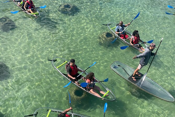 Clear Kayak Tour in Condado Lagoon - What makes this lagoon tour worth your morning