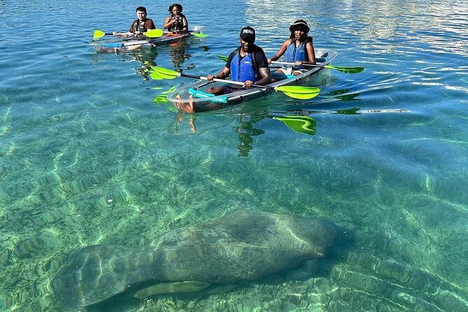 Clear Kayak Tour in Condado Lagoon - Clear kayaks and 360-degree city views
