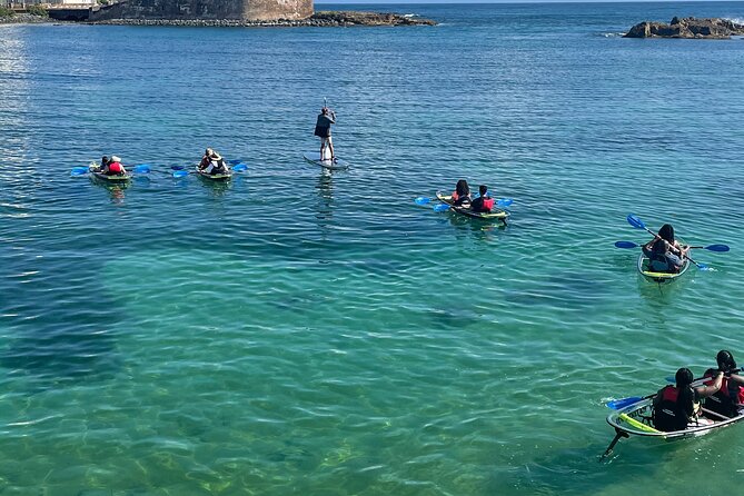 Clear Kayak Tour in Condado Lagoon - What you can realistically expect to see