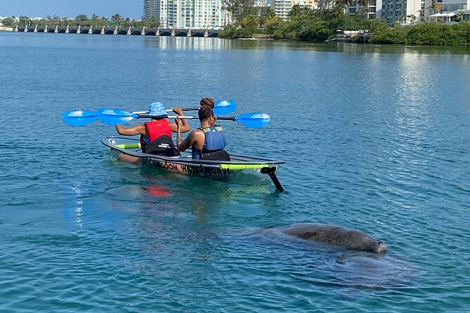 Clear Kayak Tour in Condado Lagoon - Guides who make the outing approachable