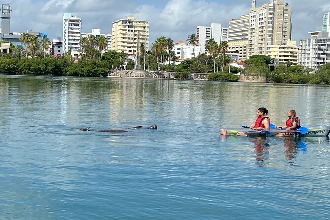Clear Kayak Tour in Condado Lagoon - Who should book this experience?