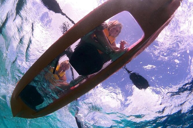 Clearbottom Mangrove Kayak & Snorkel tour - What the snorkeling is really like