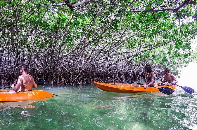 Clearbottom Mangrove Kayak & Snorkel tour - What to wear and pack for Lac Bay
