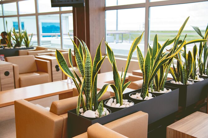Club Mobay Sangster Airport VIP Lounge with Priority Entry - What the $37.50 price really buys you