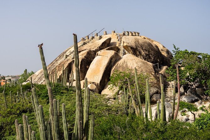 Colorful Beach Bus Sightseeing Tour of Aruba - Arashi Beach: 40 minutes for swimming and sun