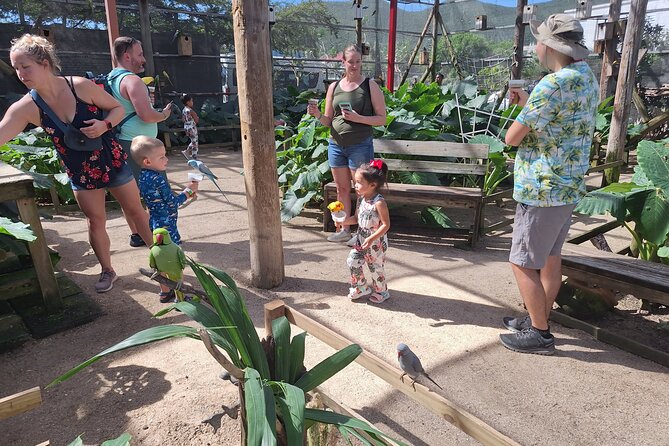 Colorful Species Of Birds - Cheese, samples, and ice cream on the way