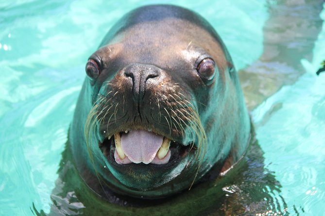 Coral World Ocean Park General Admission Ticket - What Coral World Ocean Park is really like