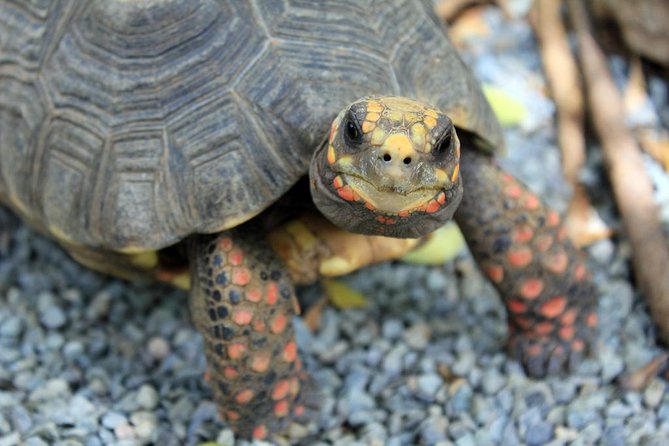 Coral World Ocean Park General Admission Ticket - Is $29 a fair price?