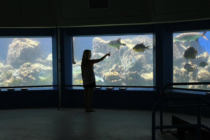Coral World Ocean Park General Admission Ticket - Stop 1: Coki Point Beach