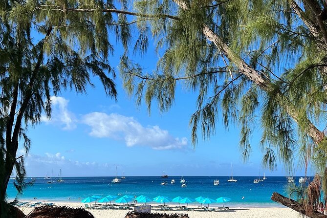 Cruise Passanger Beach day in Barbados with shuttle transfers - Food trucks, beach bars, and basic facilities