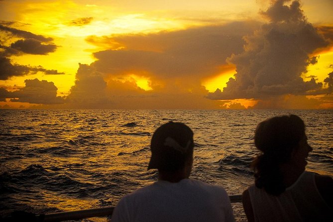 Cruise Sunset Party in Castries - What the sunset party cruise is really like