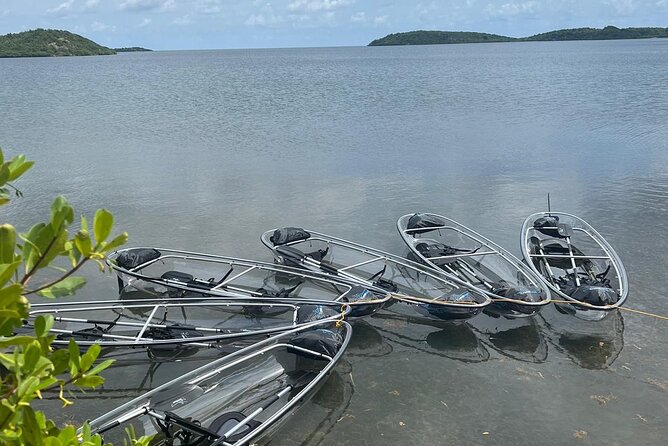 Crystal Kayak & Snorkel Eco Tour (with transfer) - Why the clear kayaks make this Antigua tour different