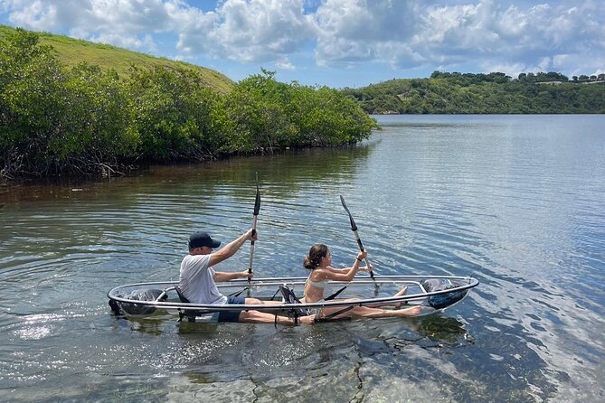 Crystal Kayak & Snorkel Eco Tour (with transfer) - What you can see below the kayak