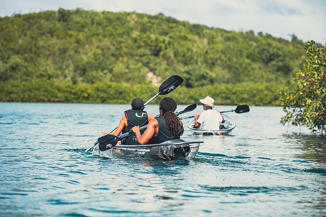 Crystal Kayak & Snorkel Eco Tour (with transfer) - The crew and the practical details