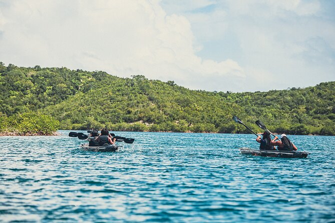 Crystal Kayak & Snorkel Eco Tour (with transfer) - Booking, weather, and cancellation advice