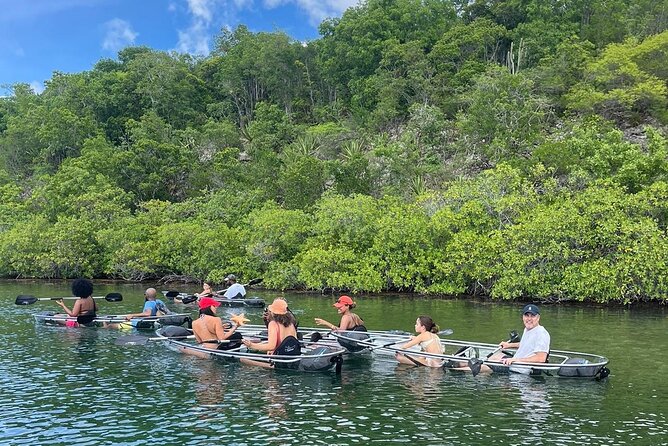 Crystal Kayak & Snorkel Eco Tour (with transfer) - A gentle start in the mangrove bay