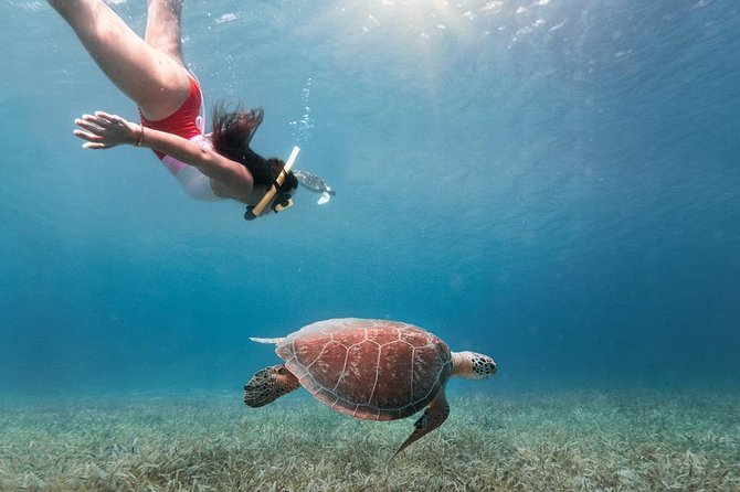 Culebra Snorkel and Turtle Adventure with Transport - The early start at Ceiba Ferry Terminal