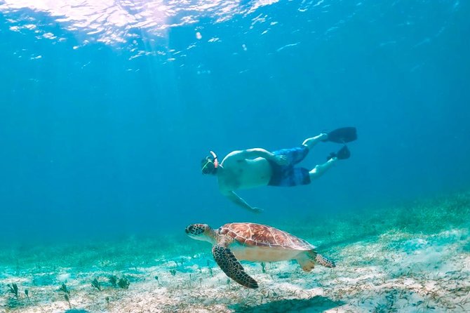 Culebra Snorkel and Turtle Adventure with Transport - Seeing Culebra by minibus before the water