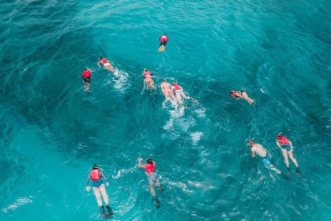 Culebra Snorkel and Turtle Adventure with Transport - Is $145.84 a fair price?