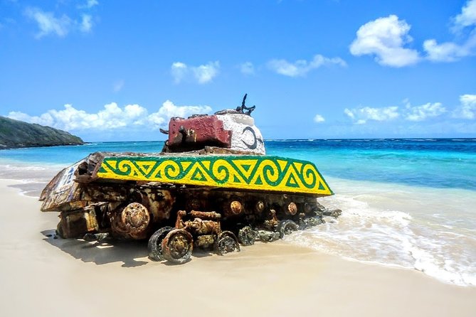 Culebra Snorkel and Turtle Adventure with Transport - Who should book this Culebra day?