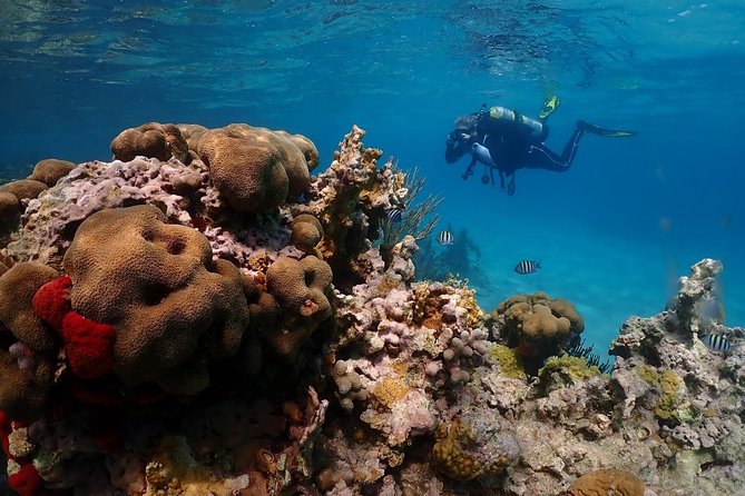 Culebra Snorkeling and beach Day Experience by boat - The ride from Fajardo to Culebra