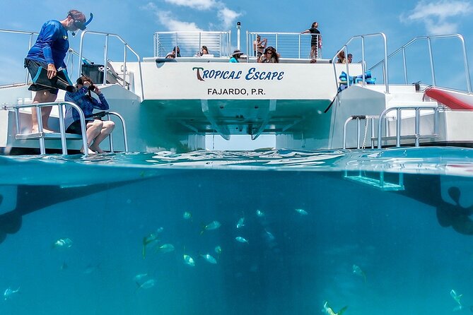 Culebra Snorkeling Tour by Catamaran from Fajardo - Why this Culebra day trip works