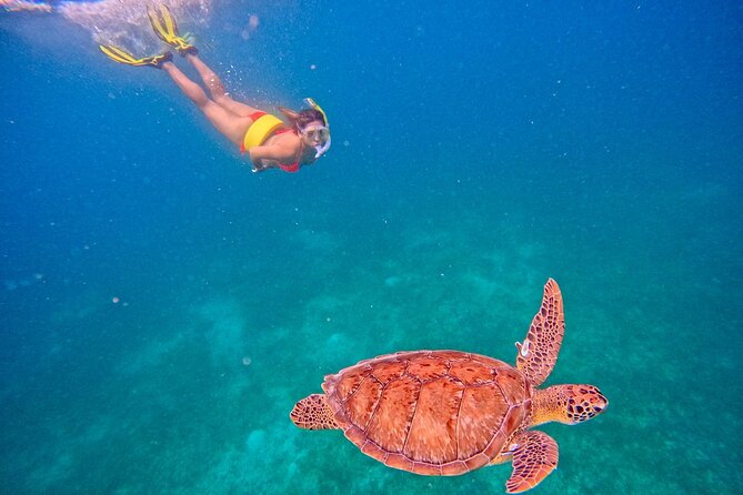 Culebra Swim with Turtles Adventure and Flamenco Beach by Ferry - What to Pack for the Day