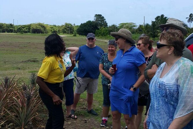 Cultural and Historical Home Tour in The Antiguan Experience - Starting in St. John’s at the Museum of Antigua and Barbuda
