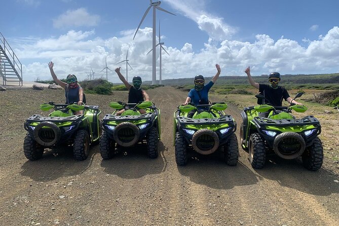 Curacao Atv tour West Adventure - Flamingos near Weg naar St Willibrordus