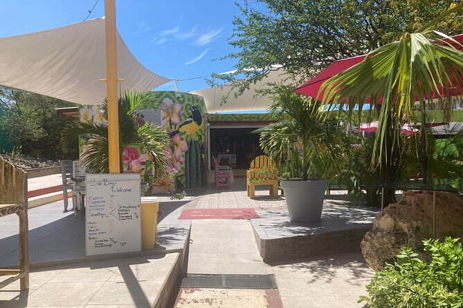 Curacao Half Day ATV East Adventure Tour - The aloe vera farm and local stops