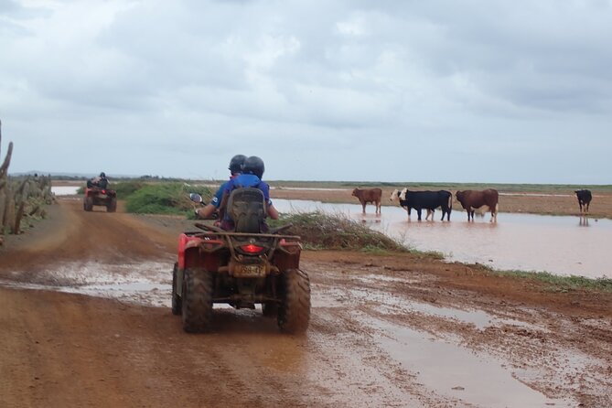 Curacao Half Day ATV East Adventure Tour - What the $118 price includes and leaves out