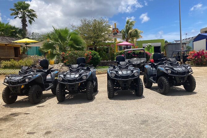Curacao Half Day or Full Day ATV West Adventure Tour - Flamingos at Dream of the Green Flamingo
