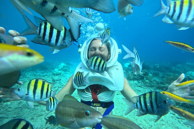 Curacao Helmet Diving-Walk the Ocean Floor, No Swimming Required - Fish, photographs, and what you actually take home
