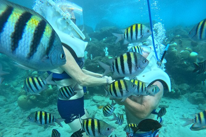 Curacao Helmet Diving-Walk the Ocean Floor, No Swimming Required - Who should book this Curaçao experience?
