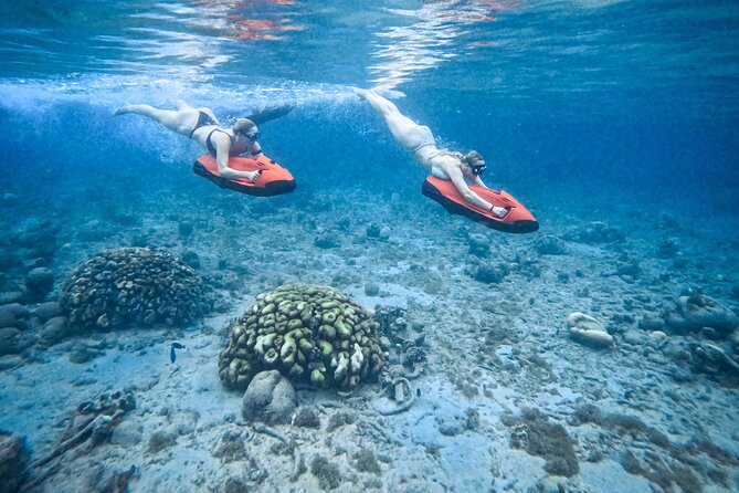 Curaçao Seabob in Playa Piskado Adventure with Sea Turtles - Key points to know before booking