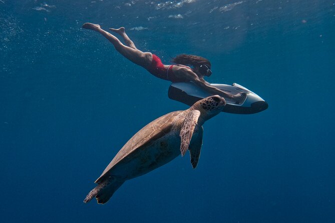 Curaçao Seabob in Playa Piskado Adventure with Sea Turtles - Why the Seabob changes the usual turtle encounter