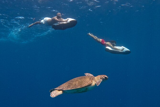 Curaçao Seabob in Playa Piskado Adventure with Sea Turtles - Moving beyond the main turtle area