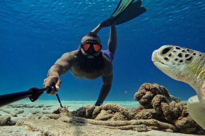 Curaçao Seabob in Playa Piskado Adventure with Sea Turtles - What makes the small group worth paying for